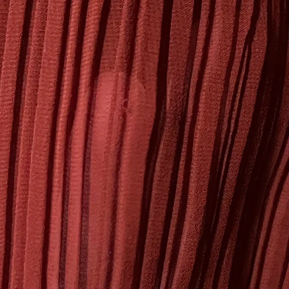 Free People Pleated Chiffon with Velvet Details Button-Up Blouse - Picture 8 of 8